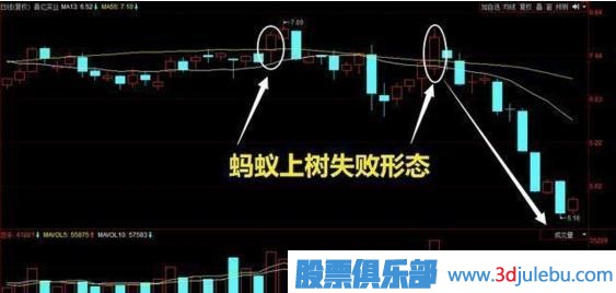 炒股出現(xiàn)的“螞蟻上樹(shù)”形態(tài)，記住趕緊跟上