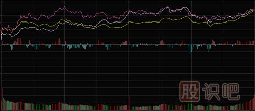 怎樣看<a href=http://www.nbyzcy.com/GPRM/sy/1798.html target=_blank class=infotextkey>大盤</a>和股票的分時走勢圖