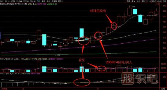 如何在逆勢中選擇上漲的個股？