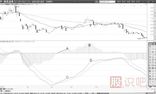 MACD指標(biāo)中的柱子是怎么看的？